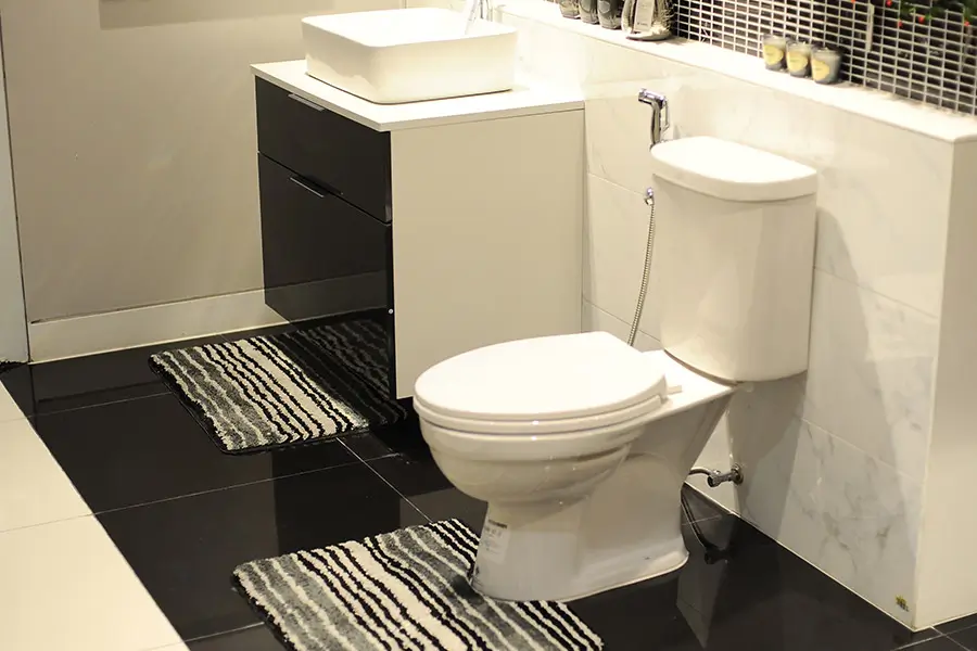 Toilet Bowl in Wellesley, MA