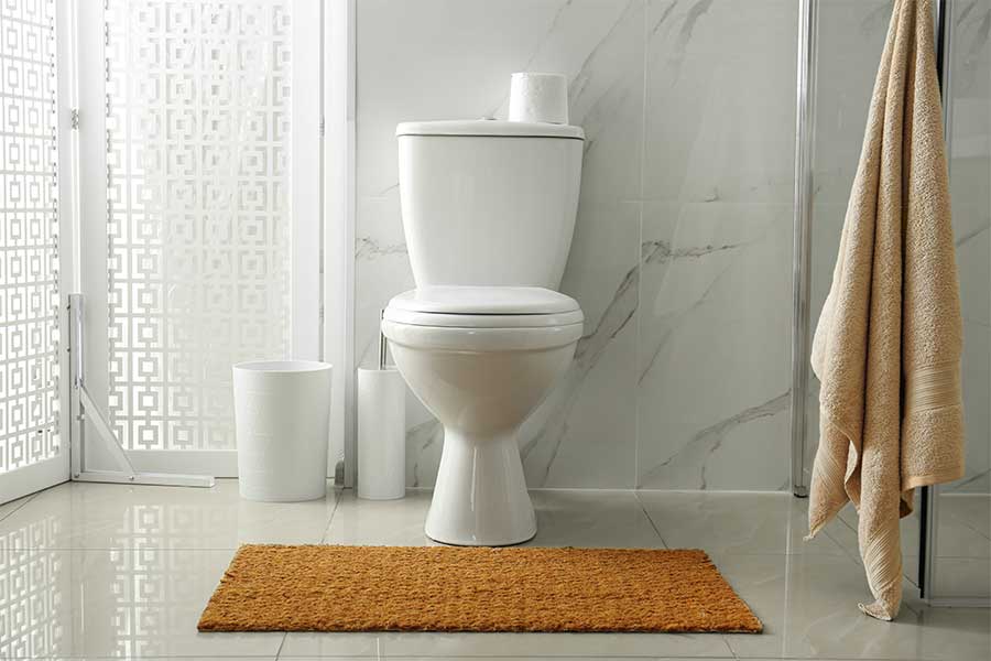 Professional toilet installation service